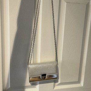 DSW Silver Purse